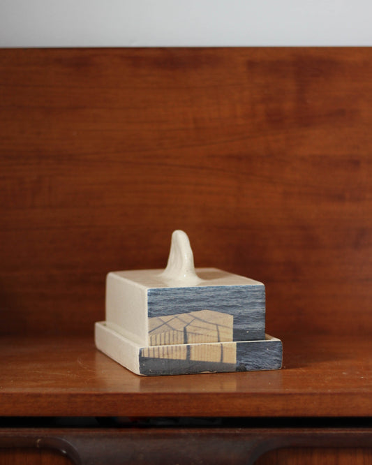 Beurrier Nabi - Photo Marseille