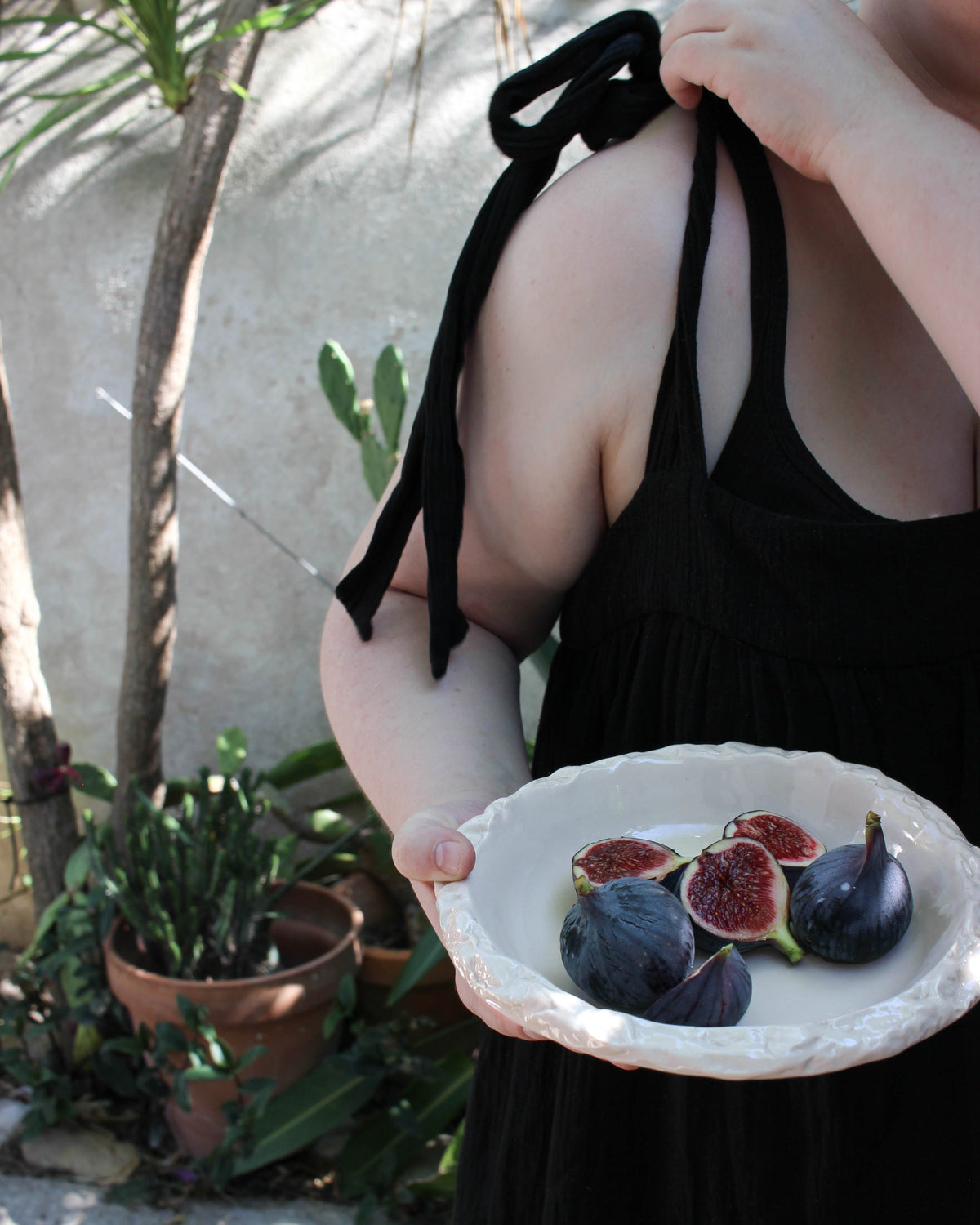 Samena assiettes