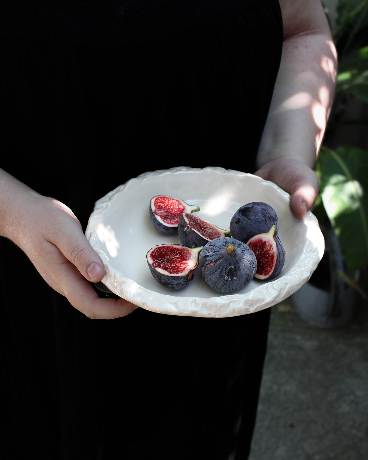 Samena assiettes