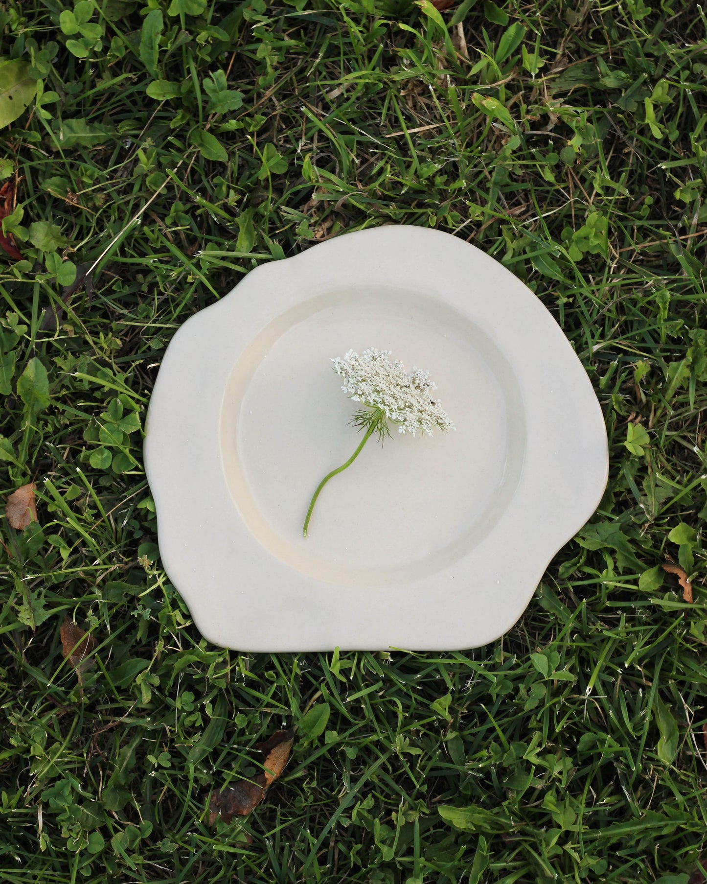 Assiettes Oundo